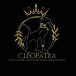Cleopatra